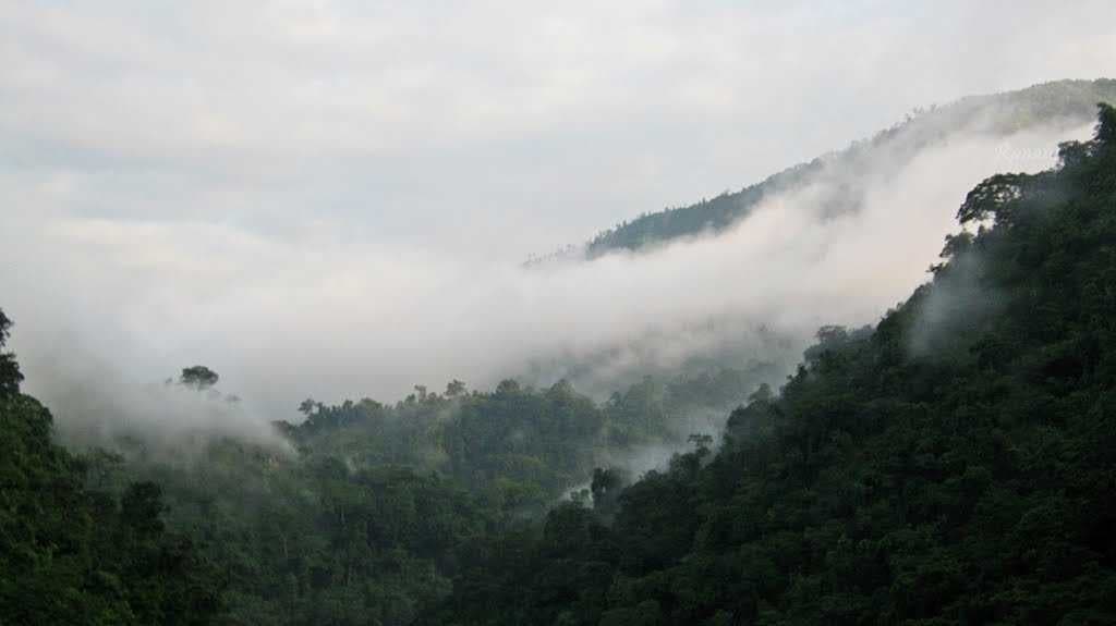 Dooars, West Bengal