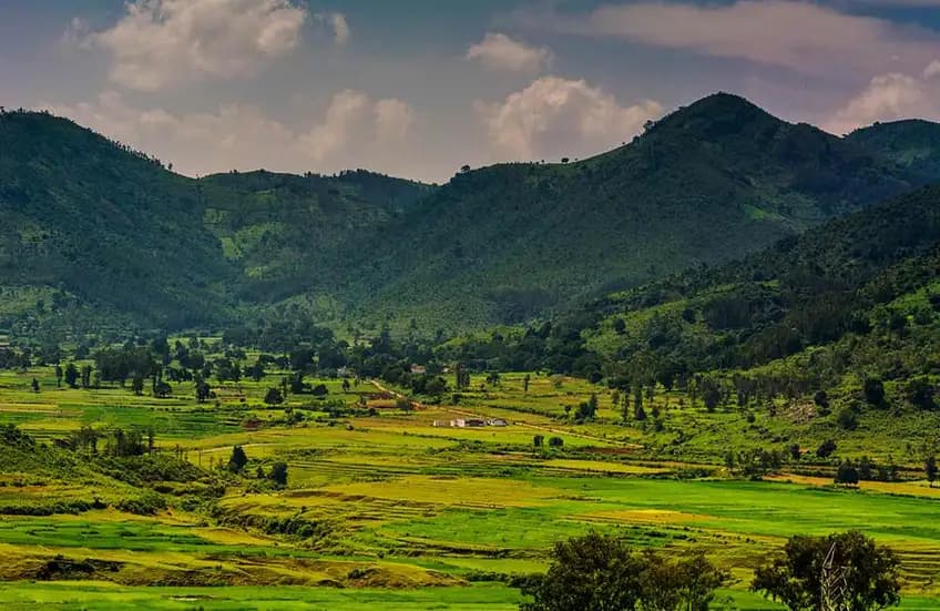 Araku Valley, Andhra Pradesh